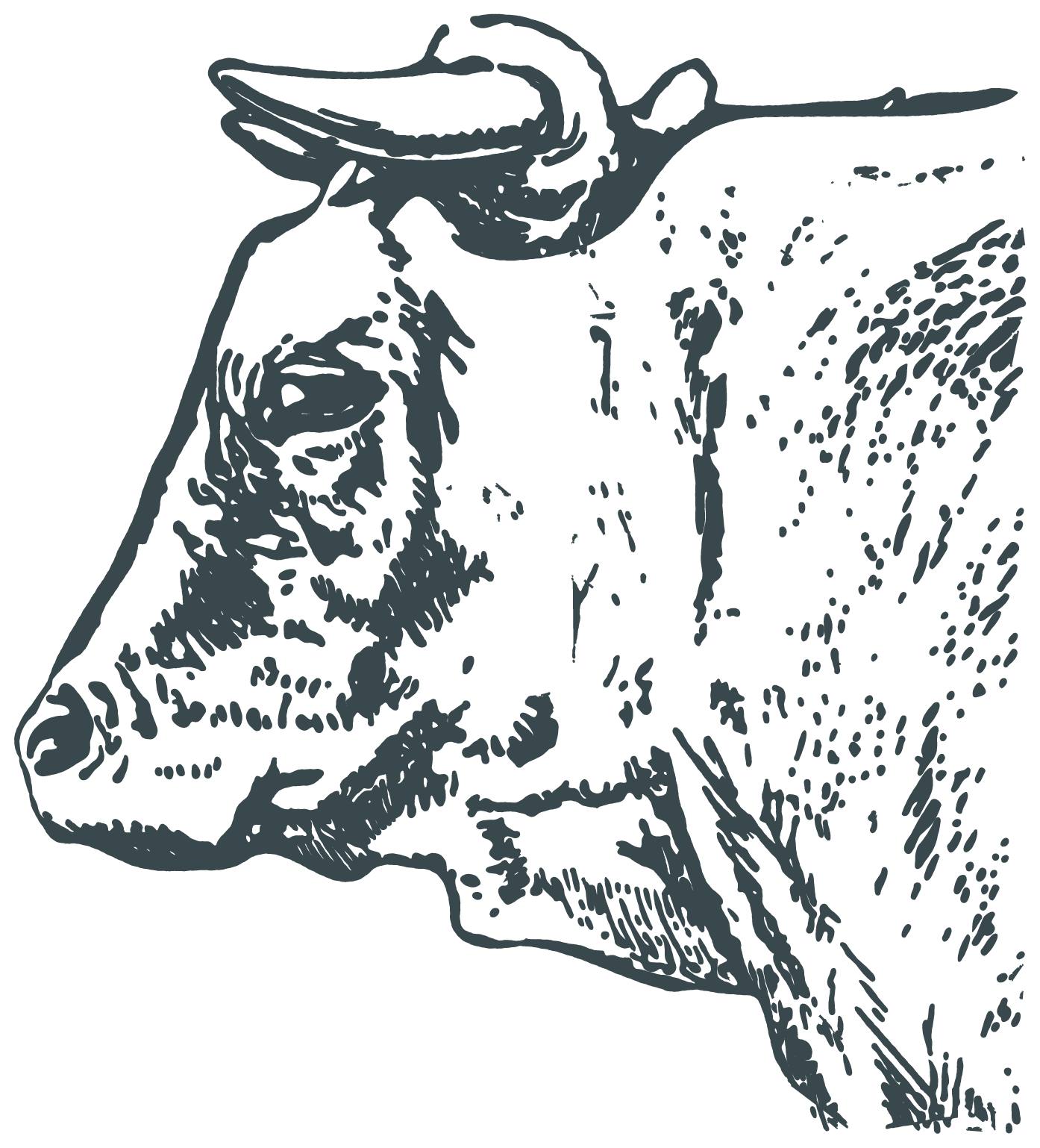 Coopers Landing  Graphic Element Cow Emerald REVERSE