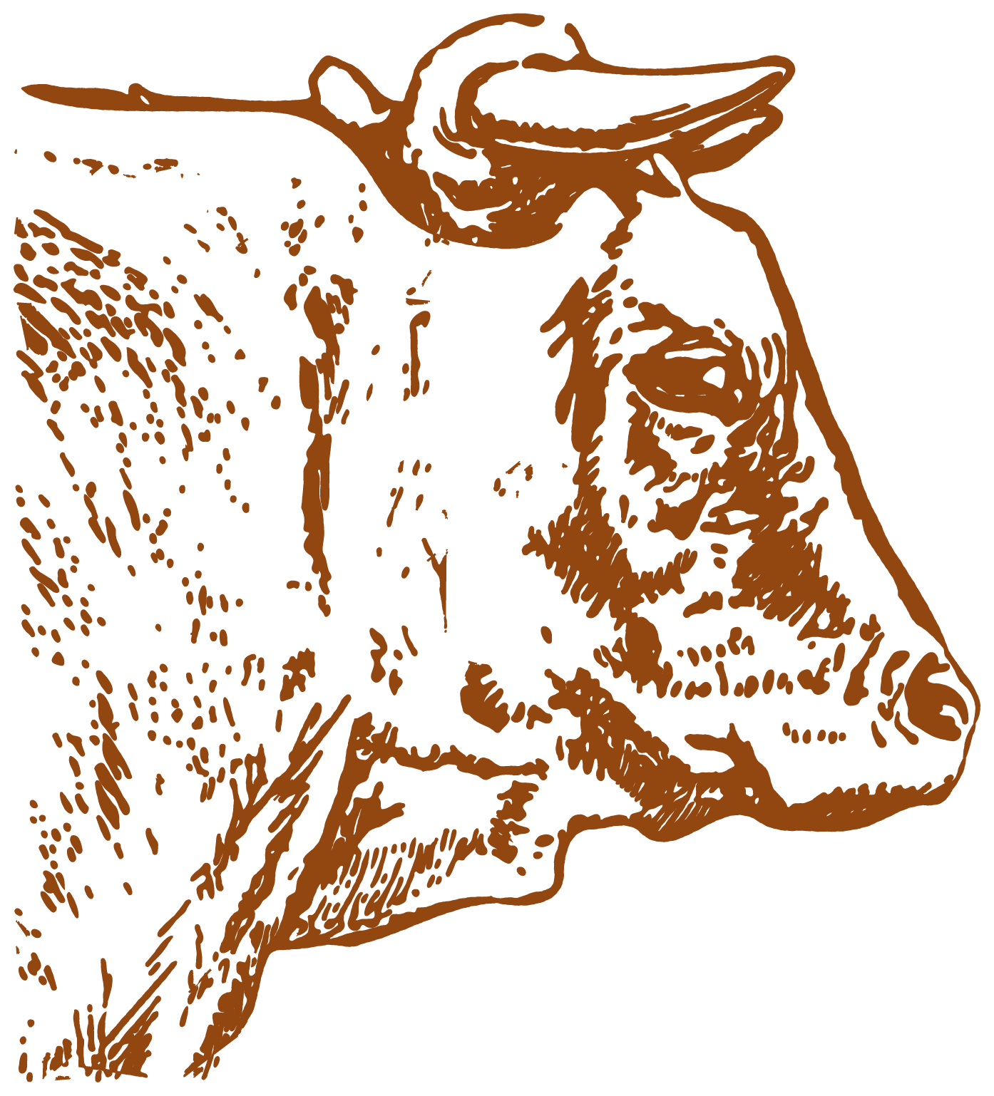 Coopers Landing Graphic Element Cow Caramel 1